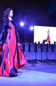 Noùs principio ordinatore